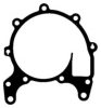 WILMINK GROUP WG1194090 Gasket, water pump